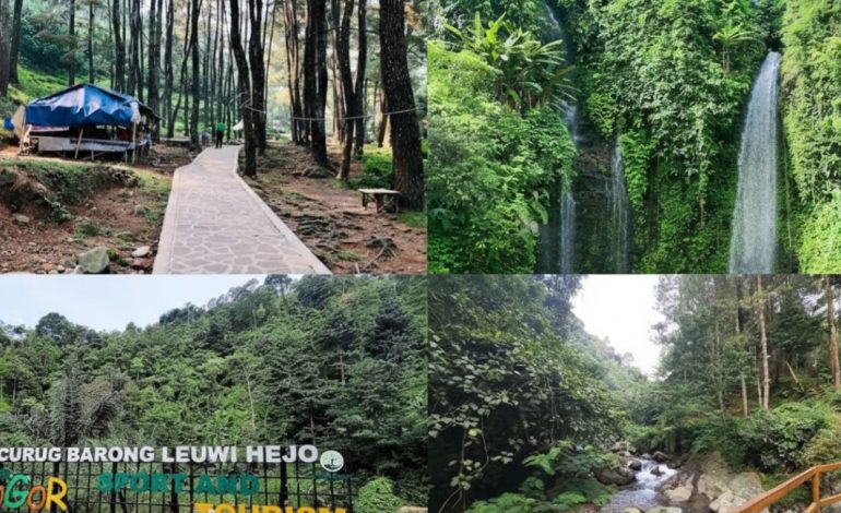 Nikmati Kesegaran Alam! Ini Dia 5 Curug Terindah di Bogor yang Wajib Dikunjungi