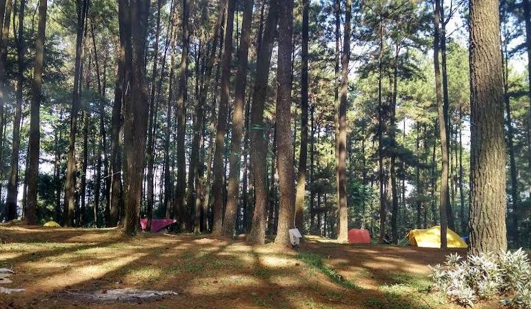 5 Rekomendasi Wisata Alam di Bogor Buat Kamu yang Mau Naik Gunung Tapi Nggak Mau Capek!