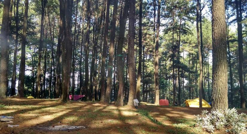 5 Rekomendasi Wisata Alam di Bogor Buat Kamu yang Mau Naik Gunung Tapi Nggak Mau Capek!