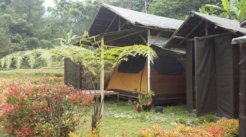 Tidur di Tengah Hutan Tapi Nyaman Seperti Hotel? Ini Dia Glamping Favorit di Bogor